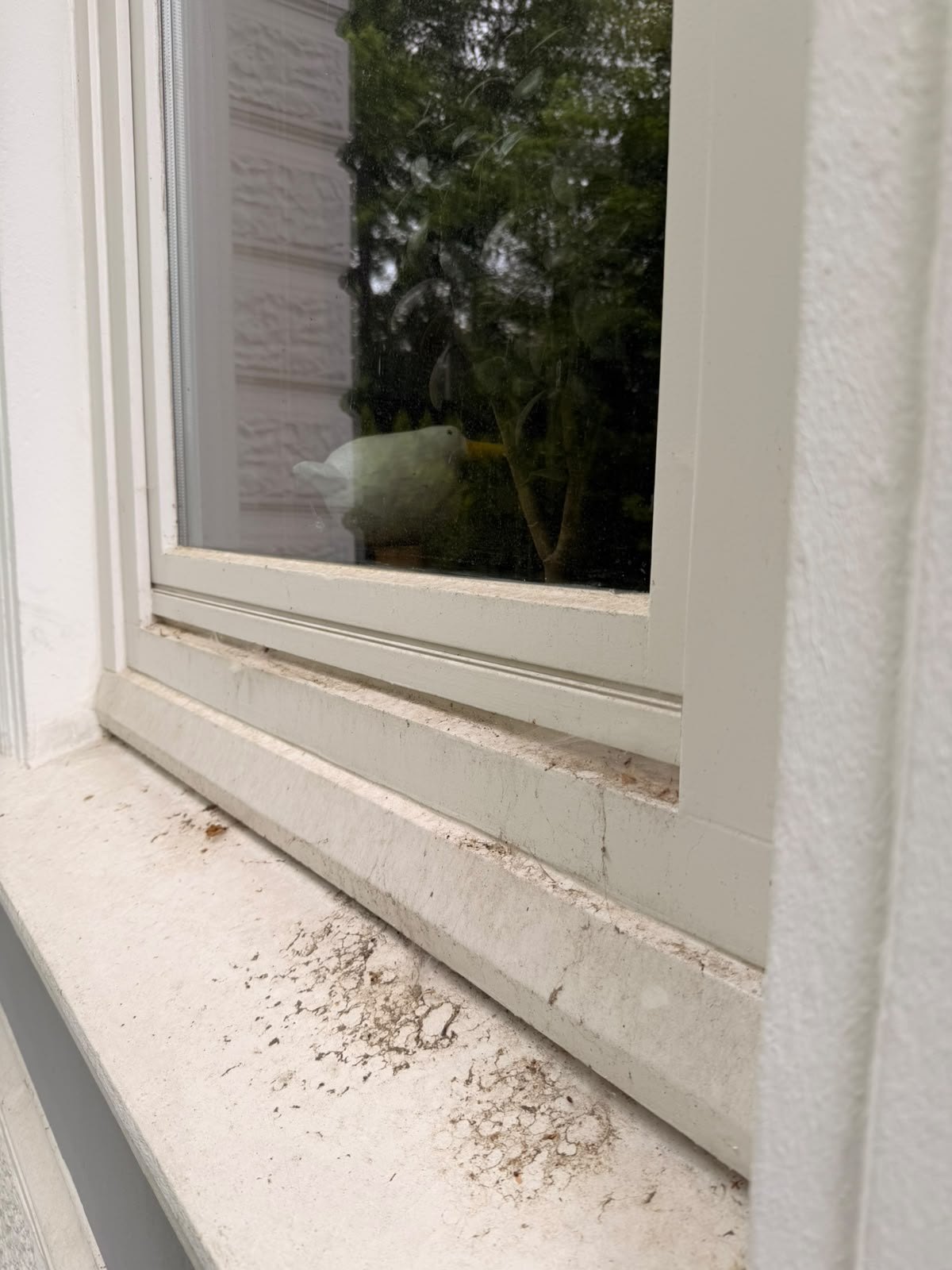 Fensterrahmen vor der Reinigung in Hamburg